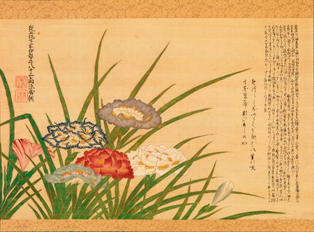 4ページ目 浮世絵や図譜を通して見る 園芸都市 としての江戸の素顔 橋本麻里の この美術展を見逃すな