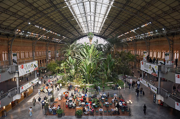 みずみずしい熱帯植物が心を癒す マドリードの開放的なターミナル駅 今日の絶景