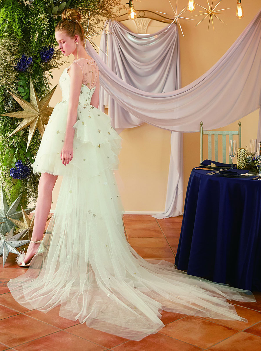 結婚式で憧れのプリンセスになる ディズニーのドレスコレクション 写真 4枚目