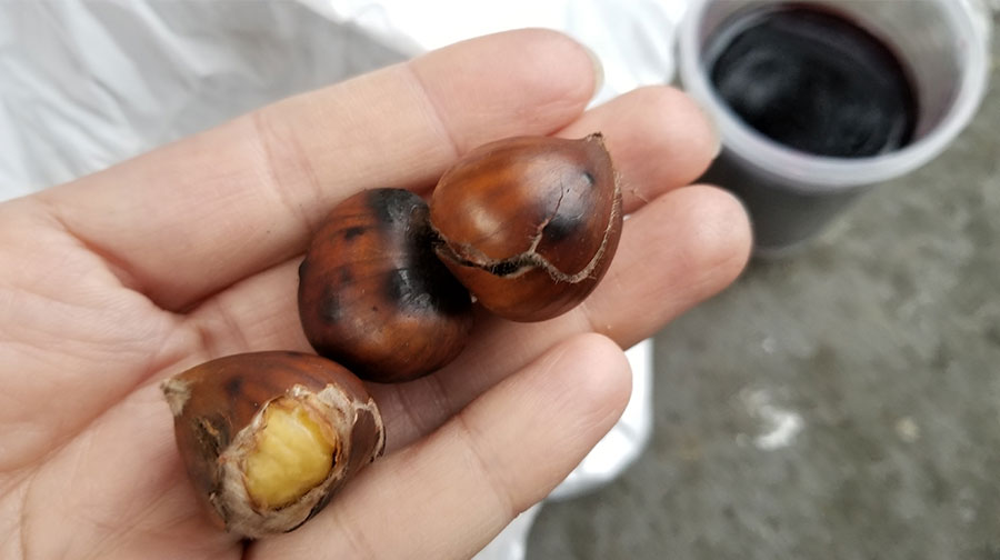 栗 を愛するイタリアの簡単レシピ すぐに作れる 栗のオーブン焼き 簡単なのに味は抜群 イタリア マンマの愛情レシピ