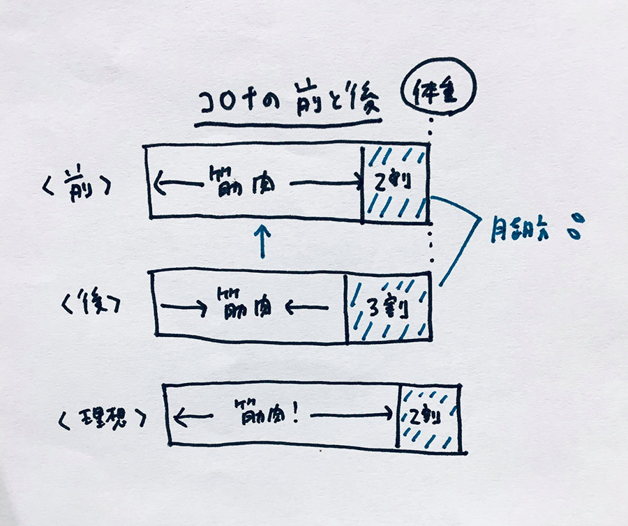 自粛生活で体脂肪率がアップしたので プロテインを飲んでみました にらさわあきこの日々是実践美容道