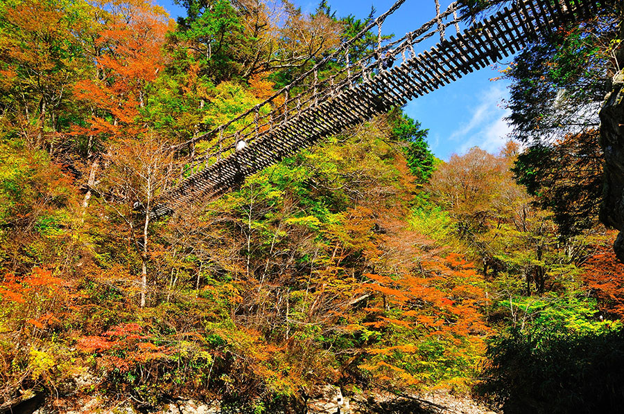 3ページ目 徳島県 21年版 秋の絶景 風物詩5選 名峰から望む稜線と紅葉の大パノラマ いつか行きたい 日本にしかない風景 再発見
