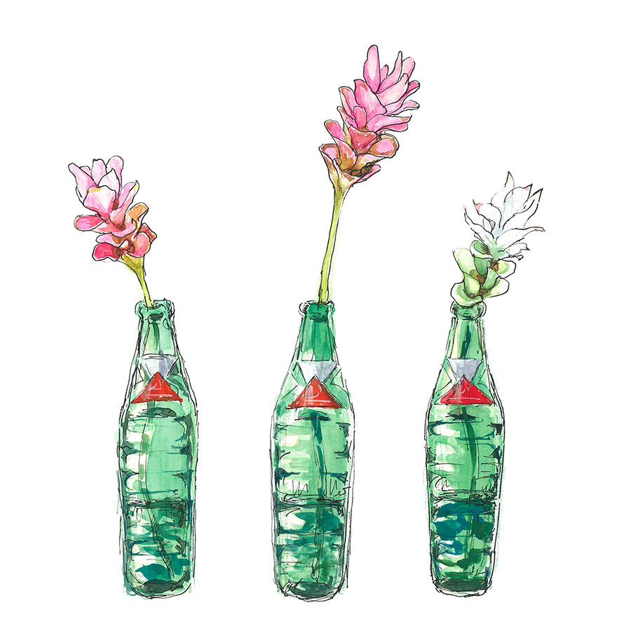 プチプラで可愛い切り花7選 花のある暮らしを気軽に叶えて 今日 花を飾るなら ブルームカレンダー