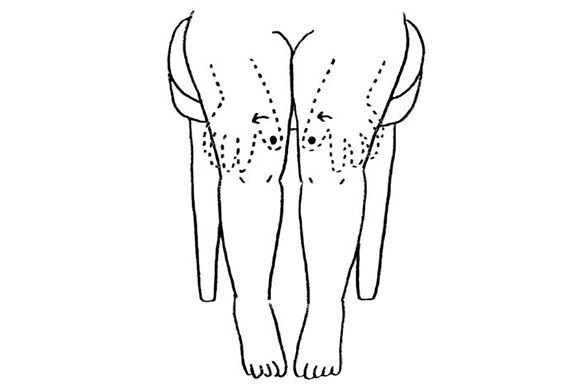 仕事中の職場でも簡単にできる 生理痛のしのぎ方を教えて 女性の不調は骨盤が解決