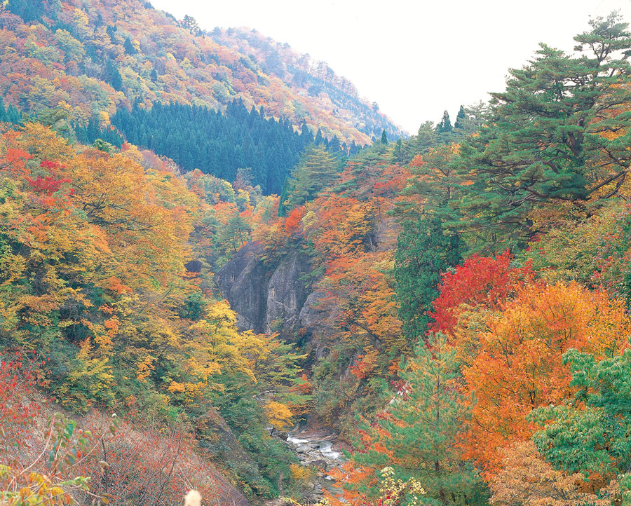 3ページ目 山形県 秋の絶景 風物詩5選 巨大ダム湖を湖岸の紅葉が彩る景観 いつか行きたい 日本にしかない風景 再発見