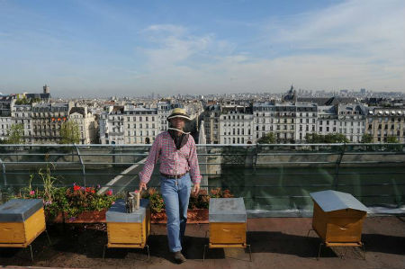 パリ トゥール ダルジャン屋上で採れる百花蜜 気になる世界の街角から