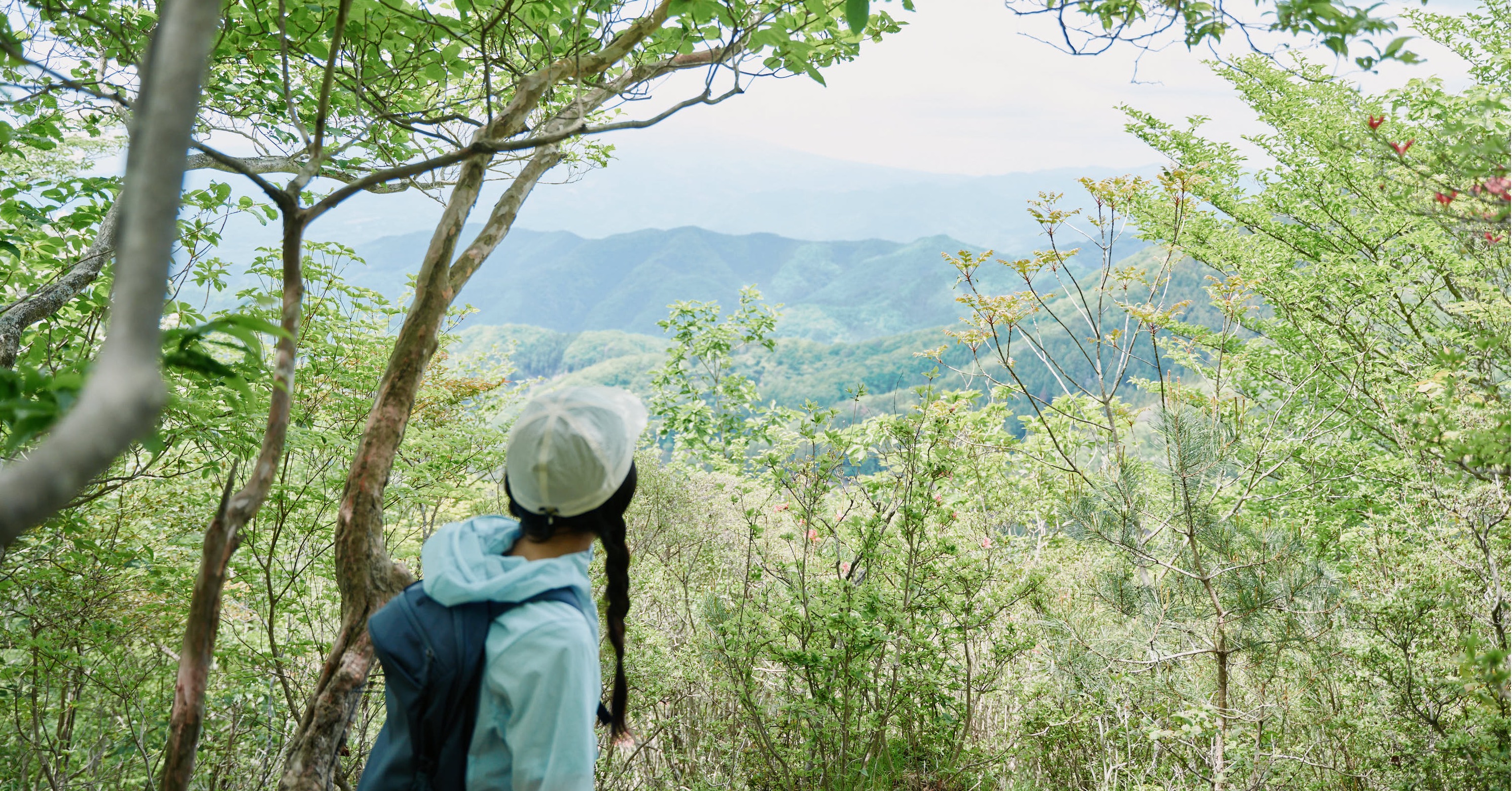 パノラマビューの山頂と世界でここだけの幻の花】群馬・鳴神山で出合っ