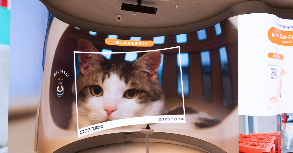 猫好き、全員集合！NEWoMan高輪で〈没入型“猫体験”〉ができる話題の新