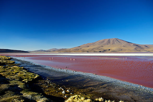 美しさではウユニ塩湖にも劣らぬ ボリビア高原の神秘的な赤い湖 今日の絶景